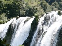 TRAV TROIA FROCIO CULATTONE -- GAY TRANNY SISSYBOY FAGGOT