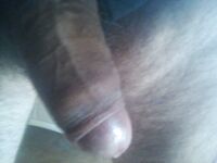 Attivo peloso in carne