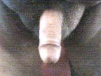 Il mio cazzo per gli amici di Gay Queer