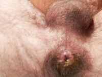 Solo per voi... fatene ciò che volete!