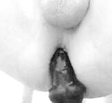 Mi masturbo col mio dragon dogs