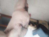 Le strane voglie di un insospettabile uomo sposato..PASSIVO