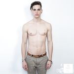 Hunks gay con pettorali nudi e erezioni dure