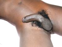 Twinks sexy che leccano palle con passione