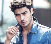 Alessandro Dellisola (Alex D.) modello italiano