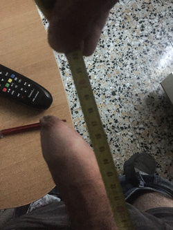 Il mio amico - Foto 4