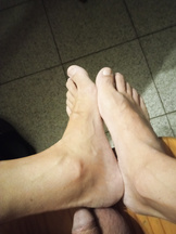 Piedi