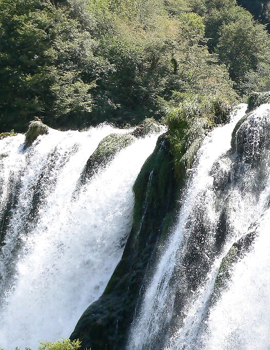 TRAV TROIA FROCIO CULATTONE -- GAY TRANNY SISSYBOY FAGGOT