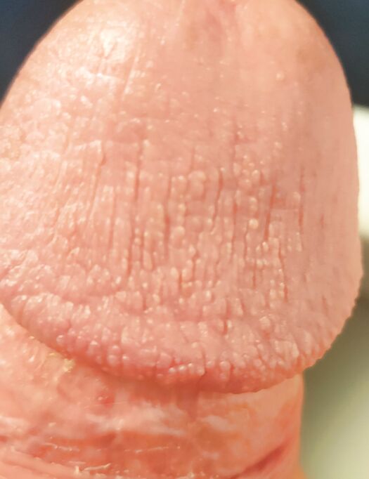 Il mio nuovo look....pelo corto✂️✂️