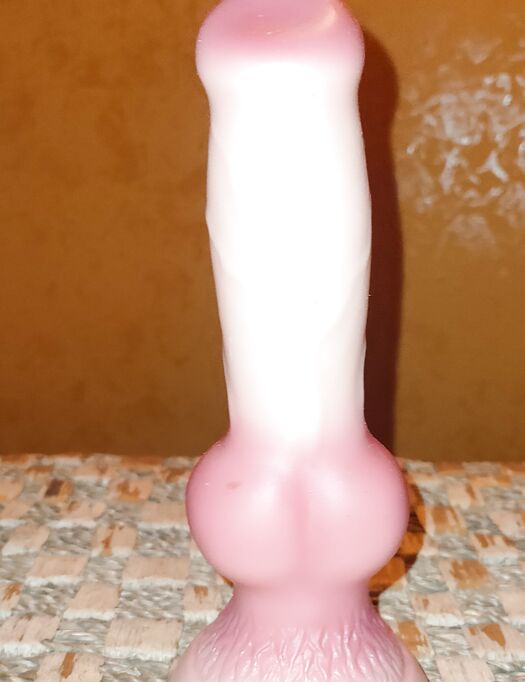 Solo per voi porcellini