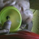 Foto di Slavepassivodasoddisfare