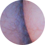 Avatar di culettorotto