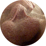 Avatar di IlTeo69