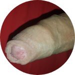 Foto di Gaydotato_