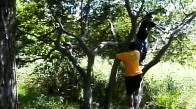 Picnic gay interraziale