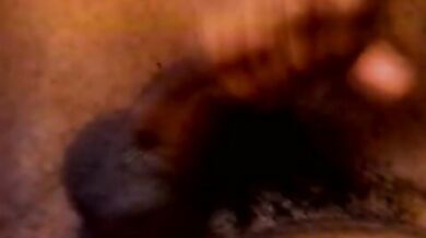 Neri omosessuali in calore