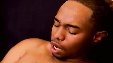 Neri omosessuali in calore