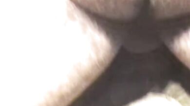 Negri gay quarantenni