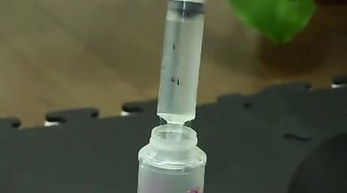 BDSM gay video porno