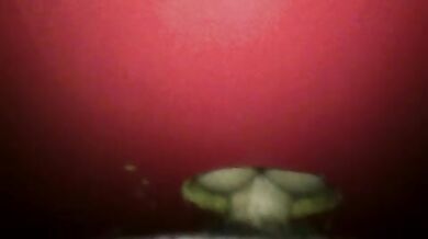 Sesso anale nel glory hole