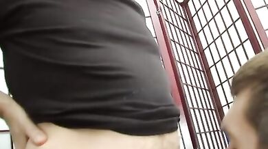 Maturi gay pompinari