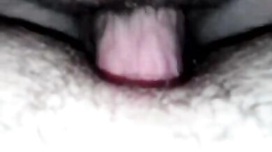 Inculata per orsi gay