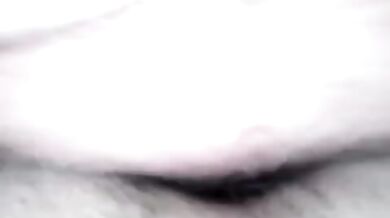 Inculata per orsi gay