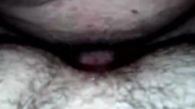 Inculata per orsi gay