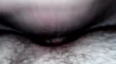 Inculata per orsi gay