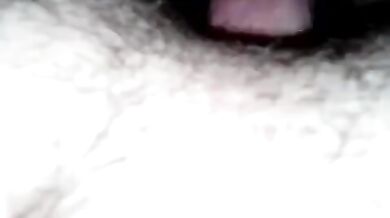 Inculata per orsi gay