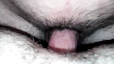 Inculata per orsi gay