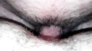 Inculata per orsi gay