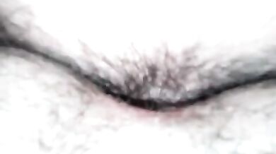 Inculata per orsi gay