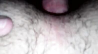 Inculata per orsi gay