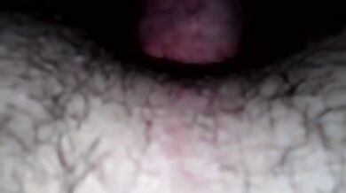 Inculata per orsi gay