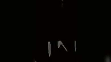 Due orsi gay si inculano