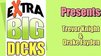 Te lo pianto nel culo