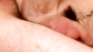 Pischelli gay trombano