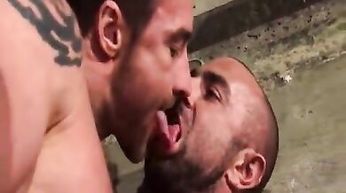 Gay peloso lecca il culo