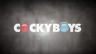 Ragazzo con la barba gay