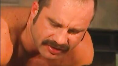 Orso gay incula il fidanzato