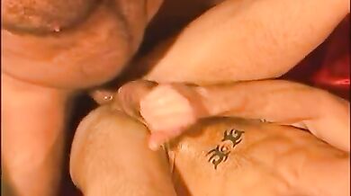 Orso gay incula il fidanzato