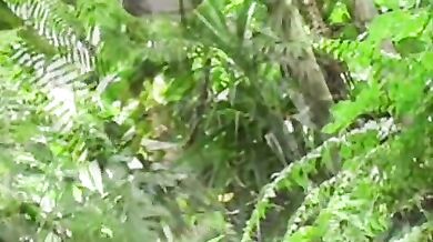 Orgia gay nella foresta pluviale