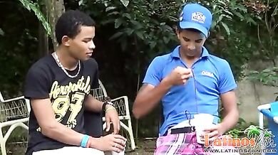 Porcellini gay brasiliani