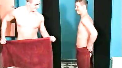 Giovani porci si succhiano il pene