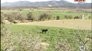 Due contadini omosessuali