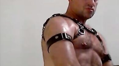 Orso gay peloso si strizza i capezzoli