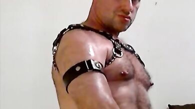 Orso gay peloso si strizza i capezzoli