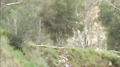 Poliziotti gay inculano due sospettati