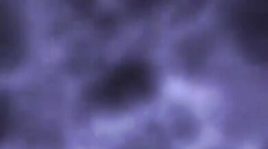 Taglialegna gay si inculano nel bosco